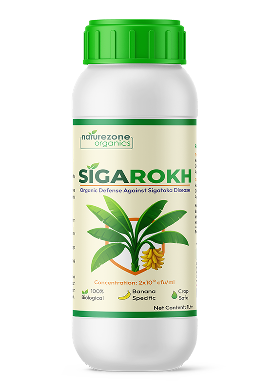 Sigarokh Biological Banana Defense